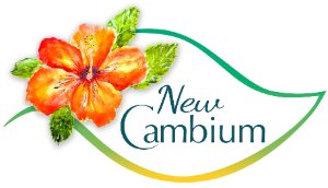 New Cambium