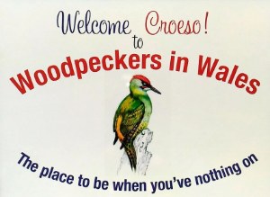 Woodpeckers in Wales Naturist Club