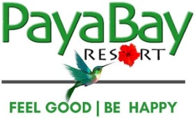 Paya Bay Resort