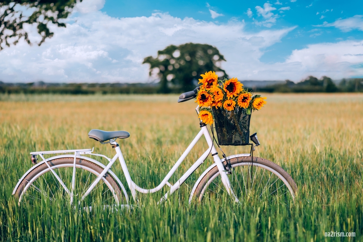 The Joy of Naked Cycling