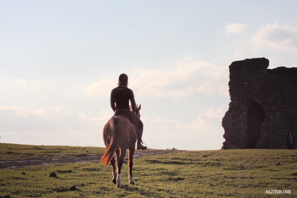 Naked Horse Riding Through Nature’s Beauty